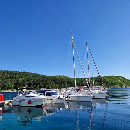 Sophie - 67m2- Grill - Garden Lejlighed Jadranovo