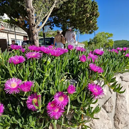 Sophie - 67m2- Grill - Garden Lejlighed *