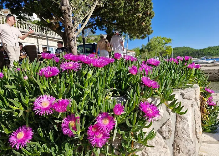 Sophie - 67m2- Grill - Garden アパート *